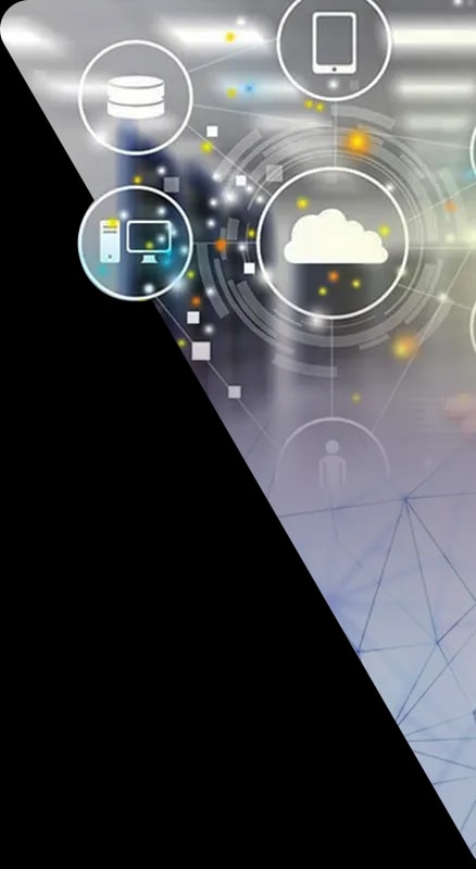 entreprise développement web