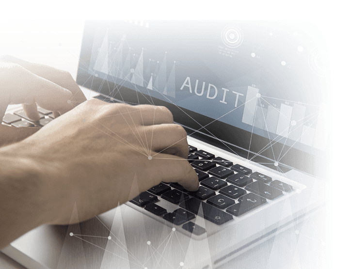 audit seo