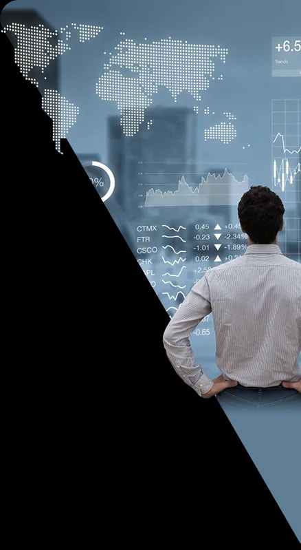 Website analysis and audit